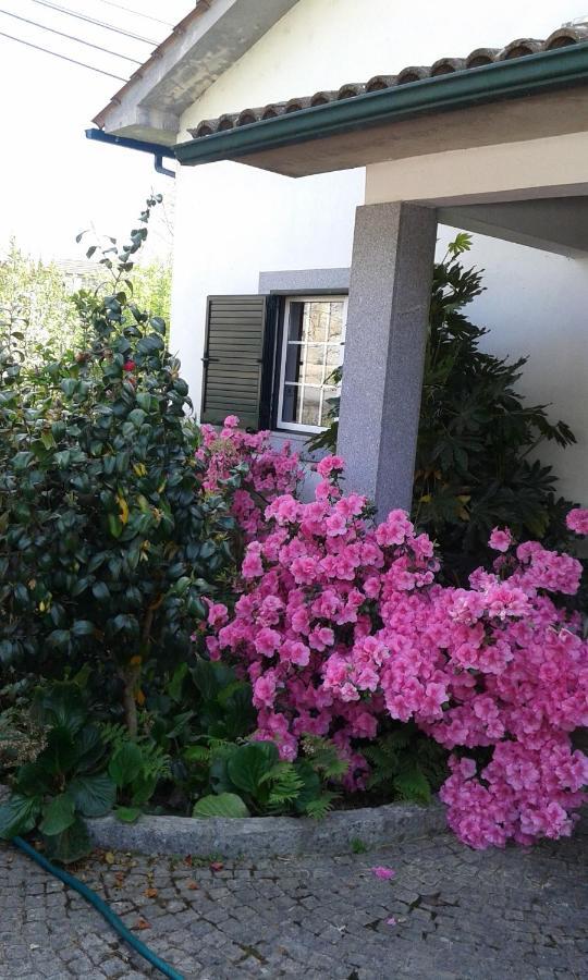 Casa Pinho Guest House เซาเปโดรโดซูล ภายนอก รูปภาพ