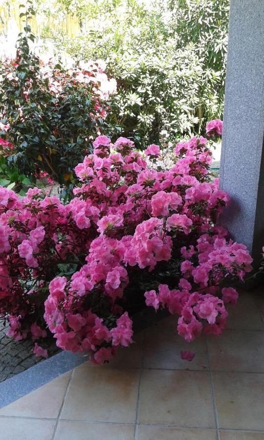 Casa Pinho Guest House เซาเปโดรโดซูล ภายนอก รูปภาพ