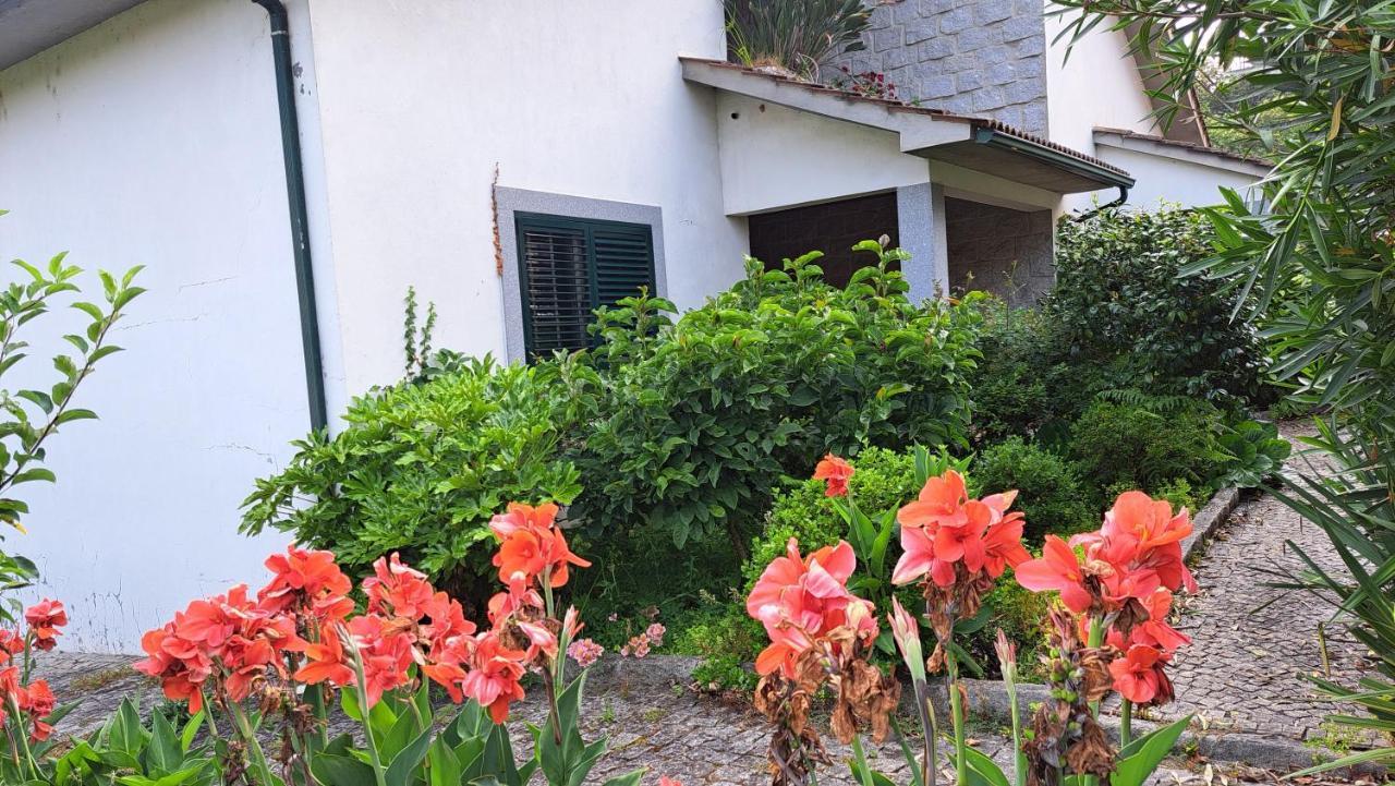 Casa Pinho Guest House เซาเปโดรโดซูล ภายนอก รูปภาพ